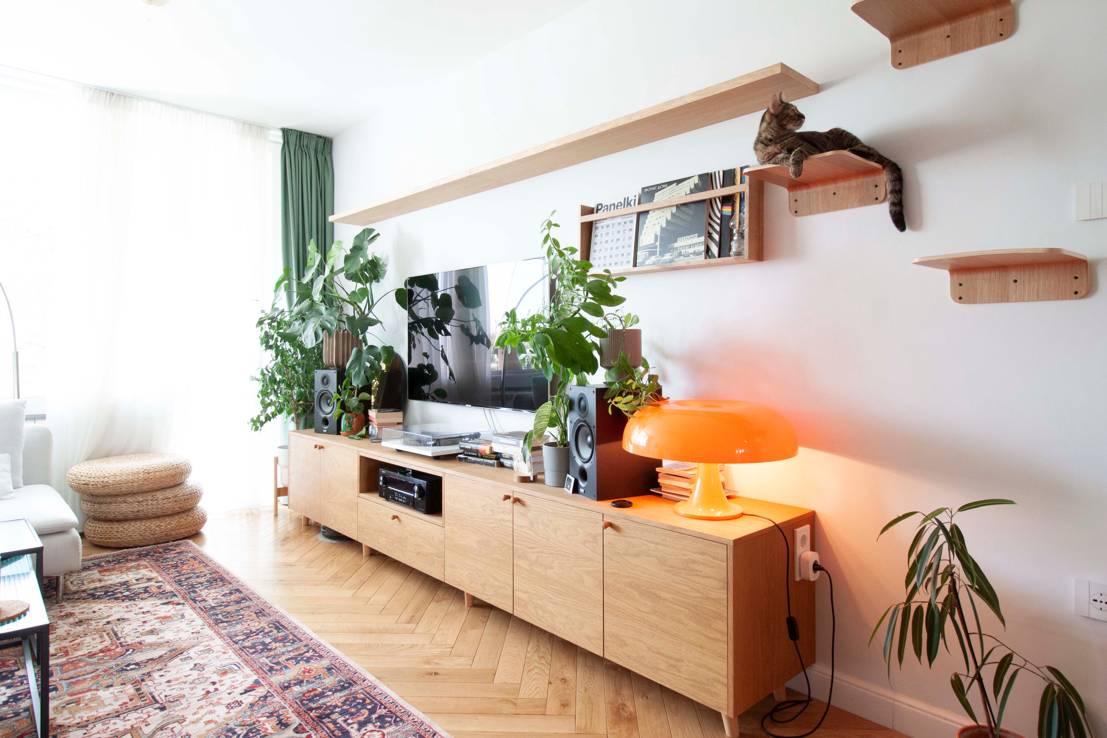 Cat's apartment